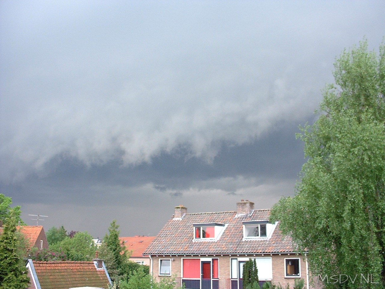 copyright msdv.nl