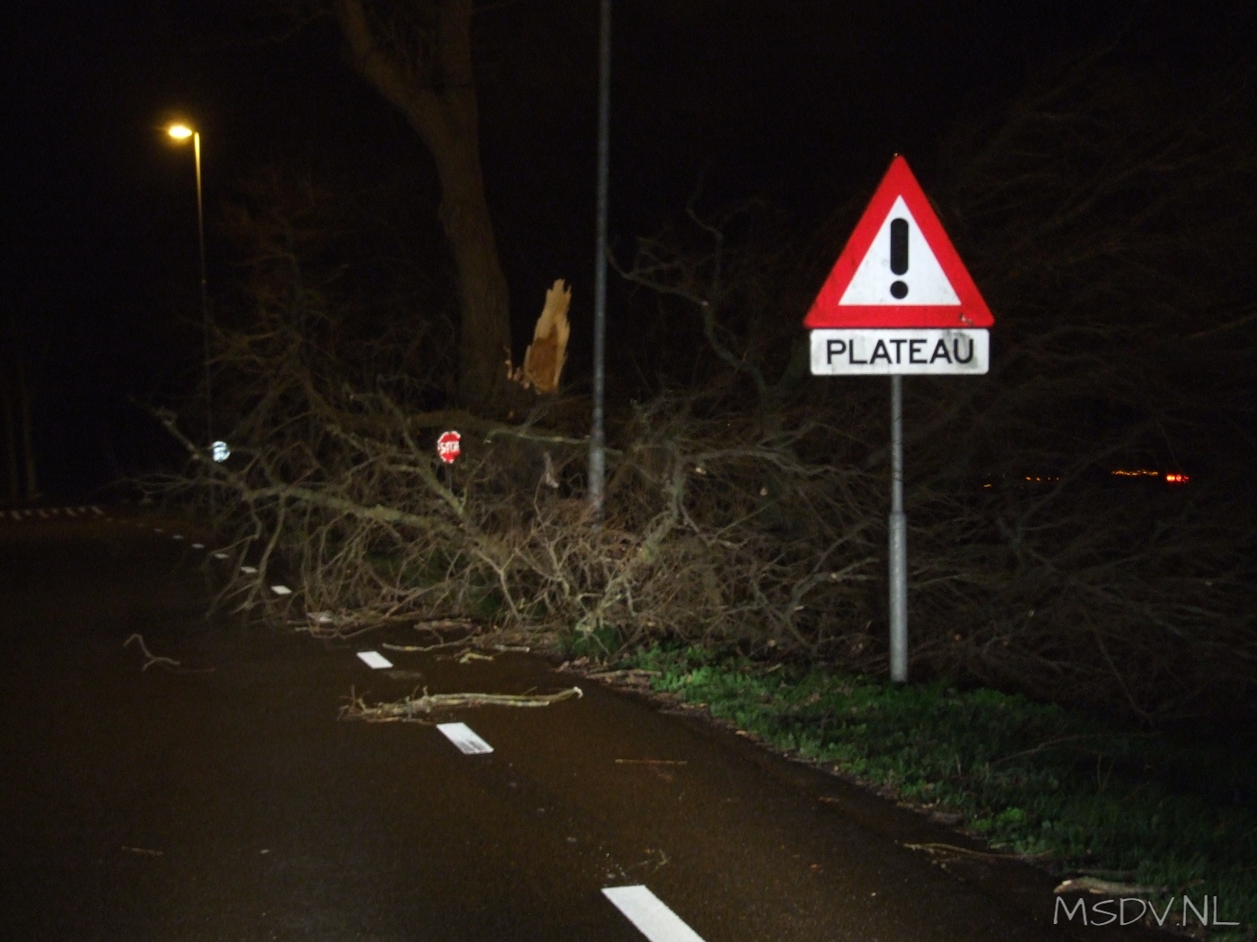 copyright msdv.nl