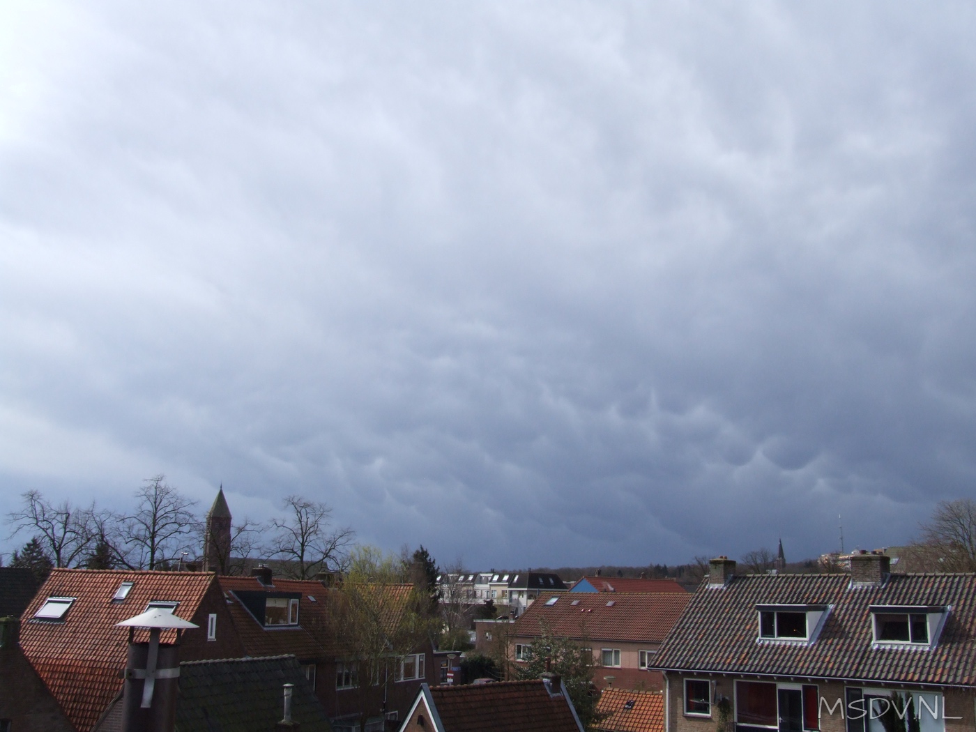 copyright msdv.nl