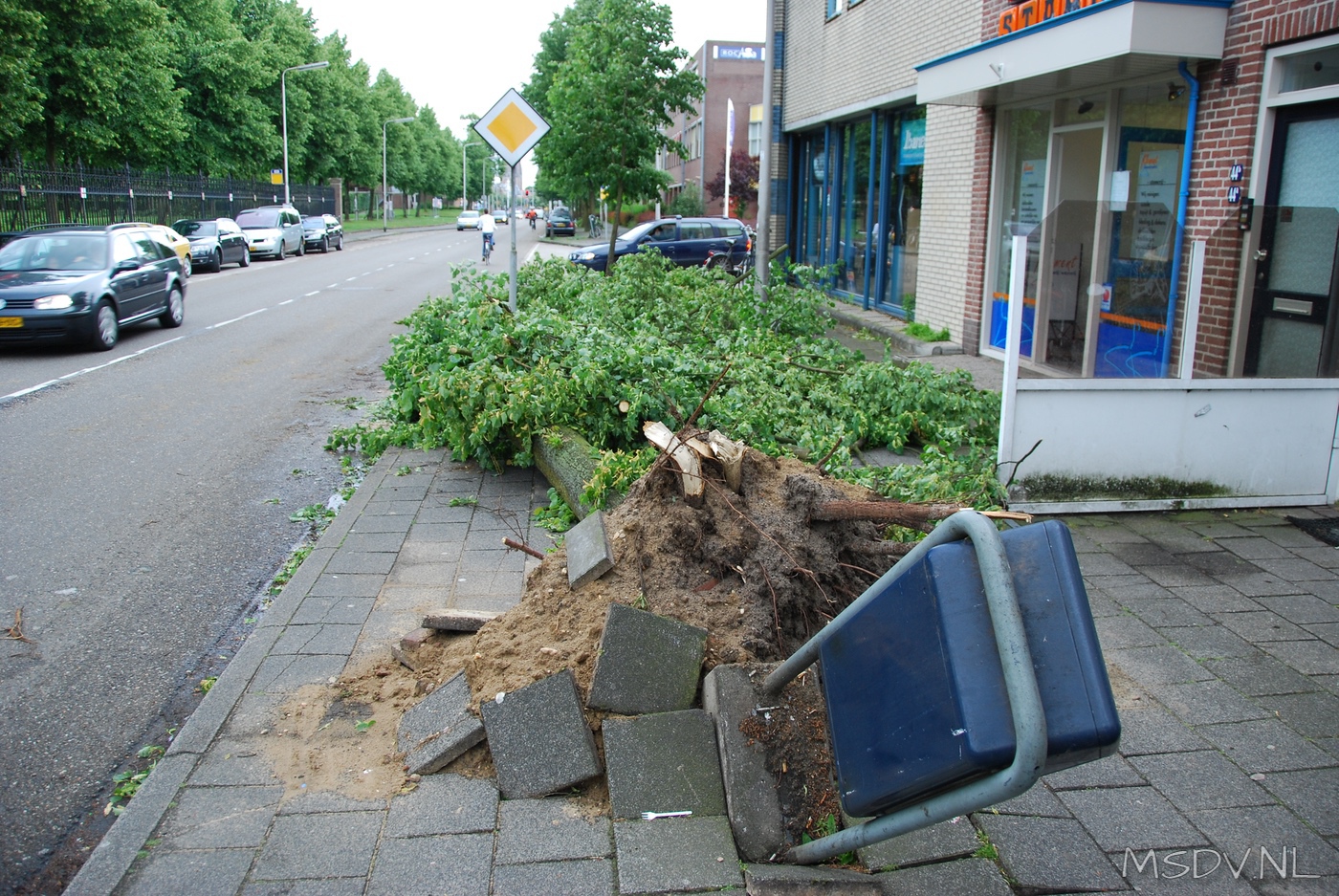 copyright msdv.nl