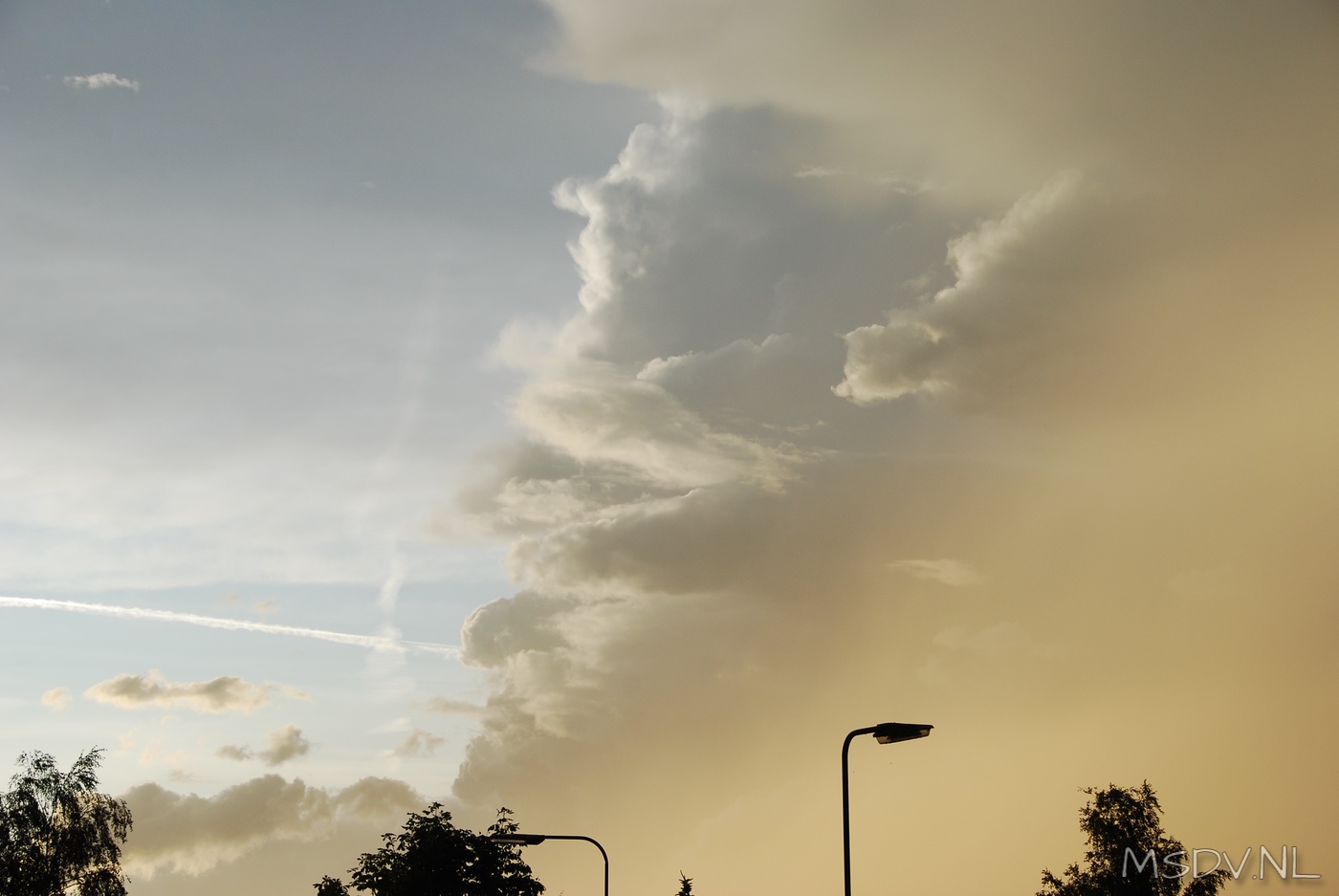 copyright msdv.nl