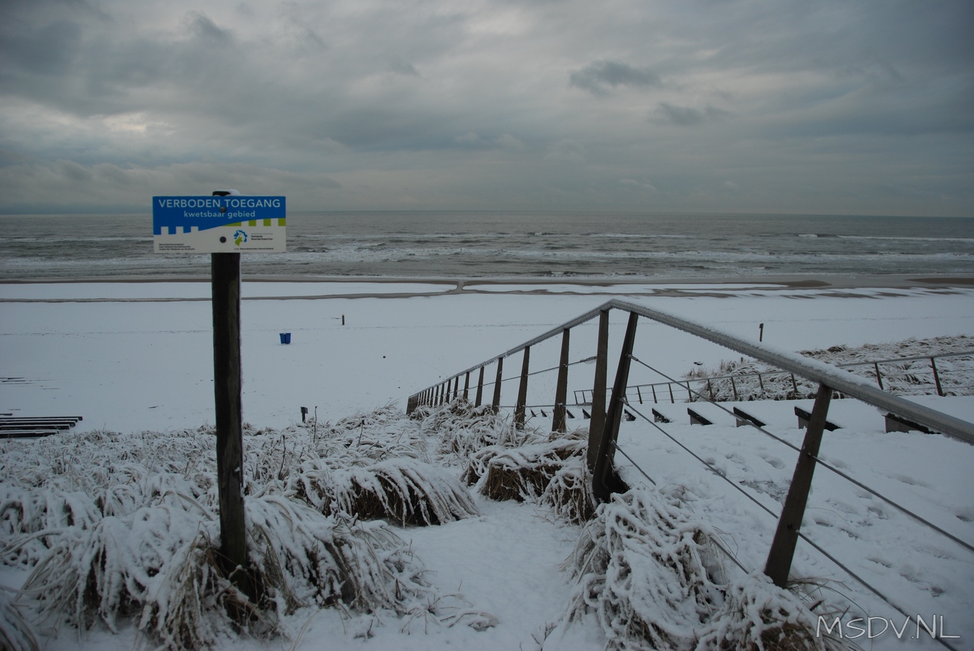 copyright msdv.nl