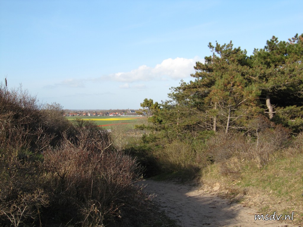 copyright msdv.nl