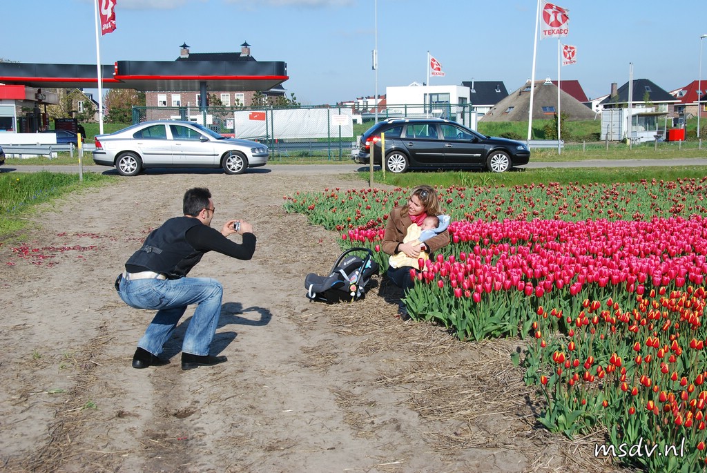copyright msdv.nl