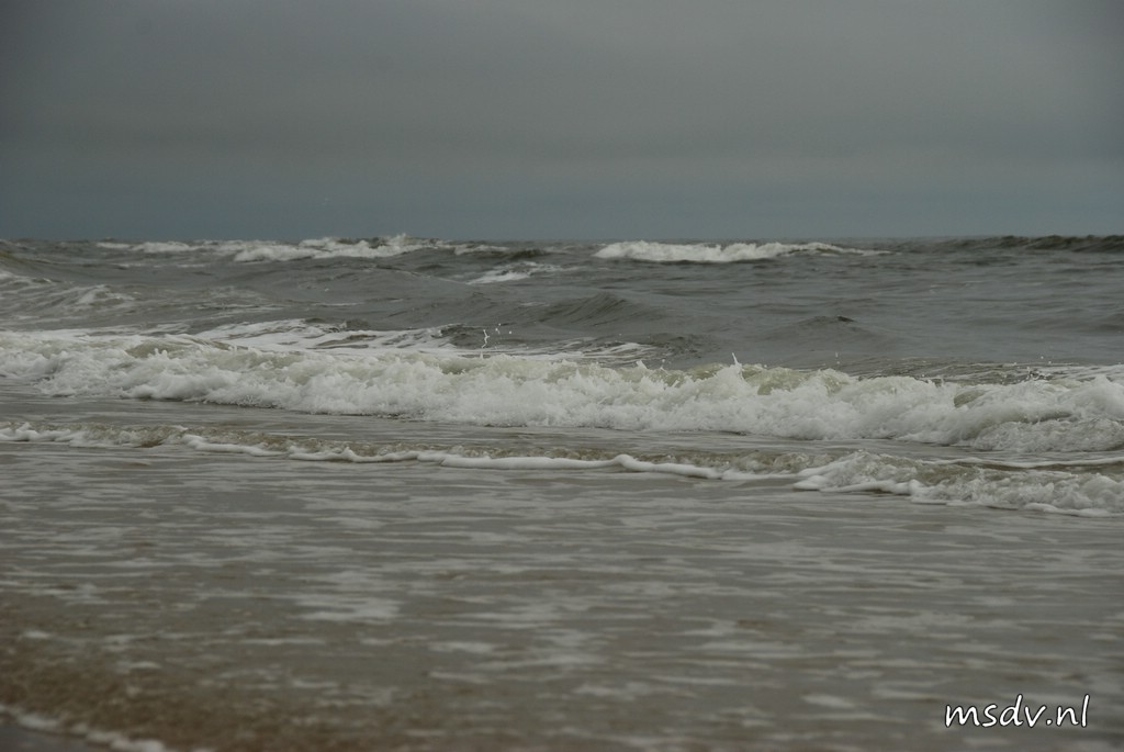 copyright msdv.nl