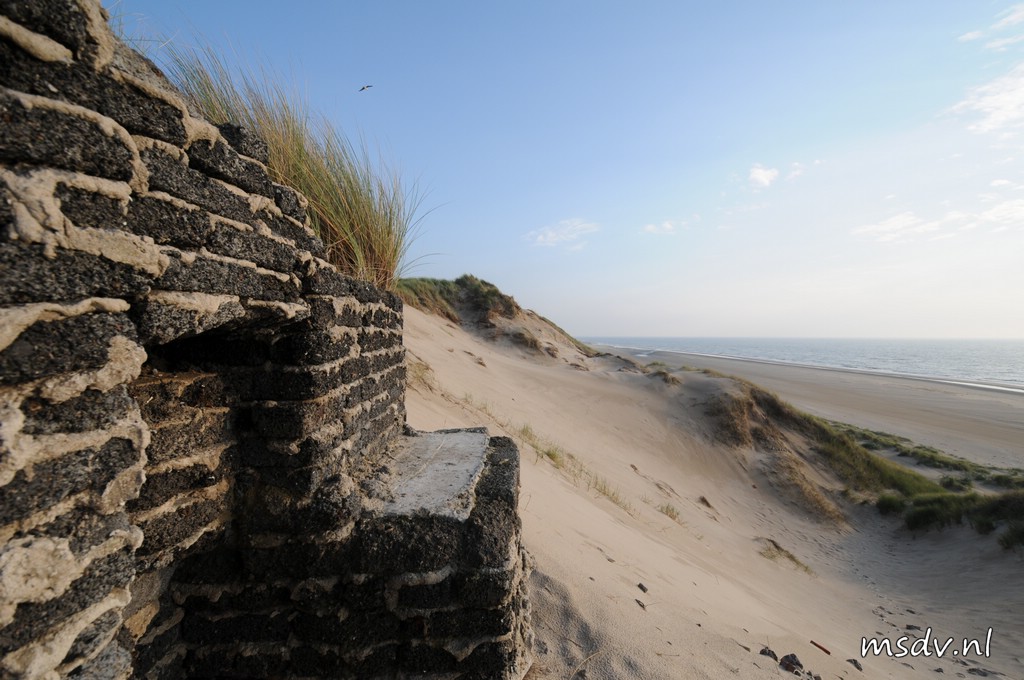 copyright msdv.nl