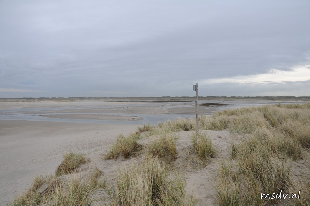 copyright msdv.nl