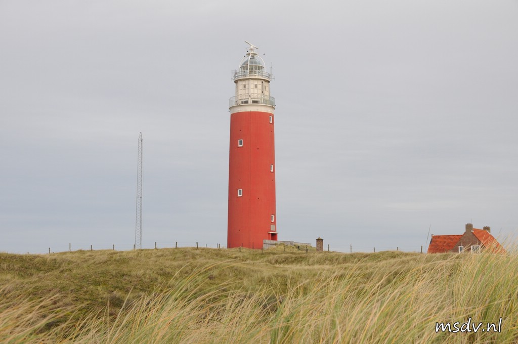 copyright msdv.nl