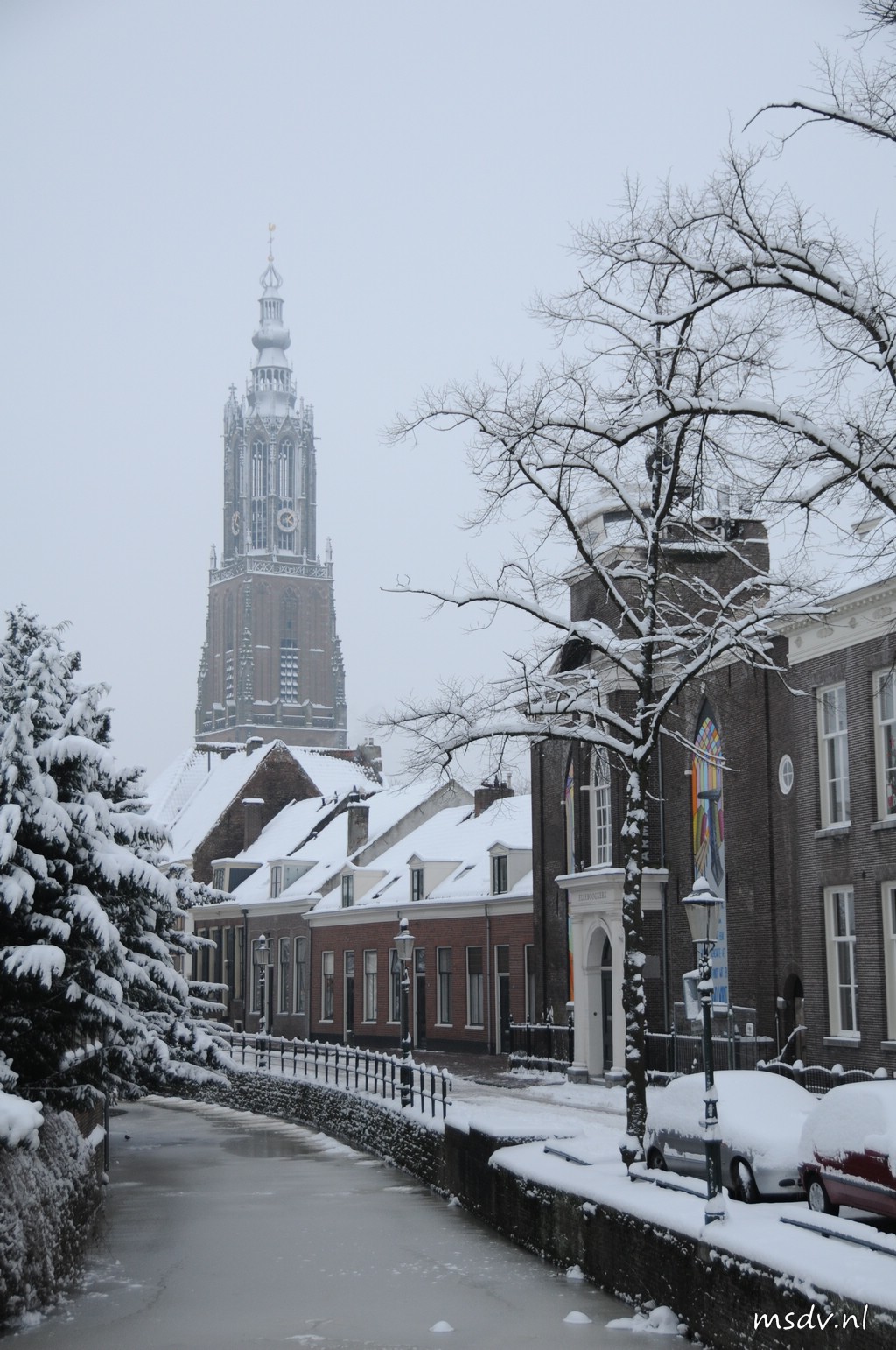 copyright msdv.nl