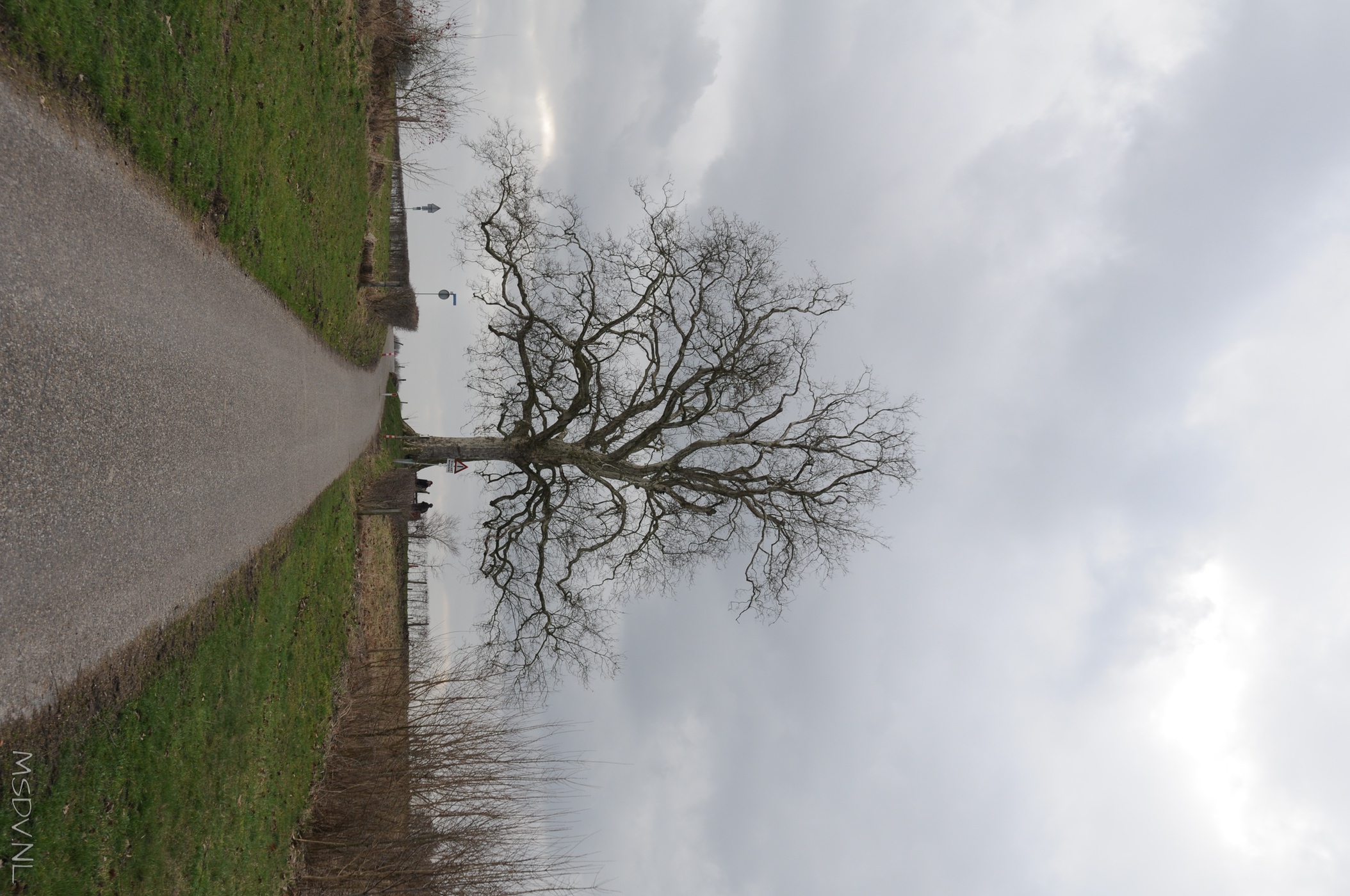copyright msdv.nl