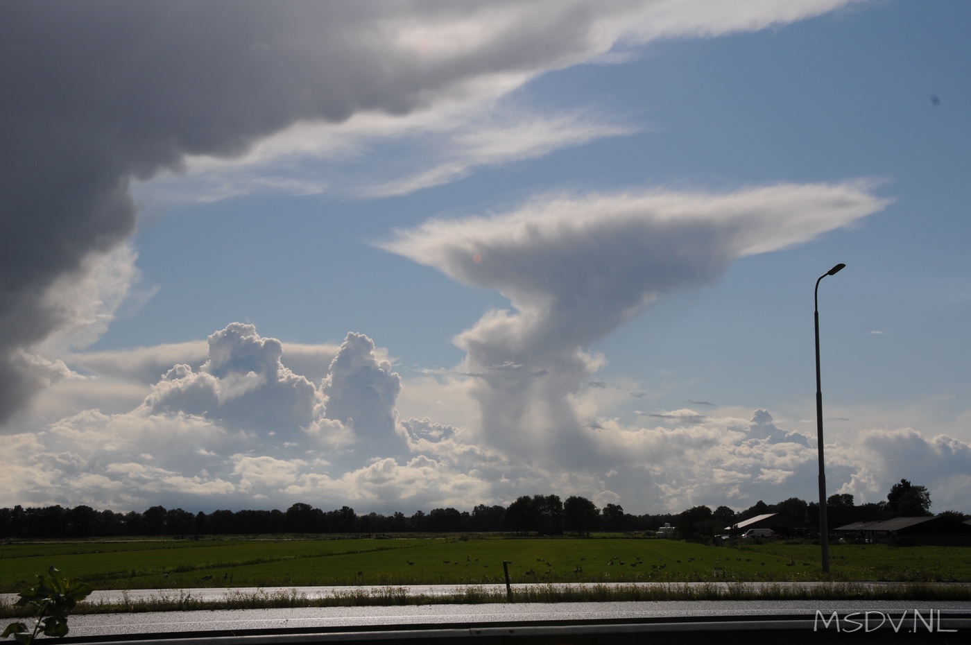 copyright msdv.nl
