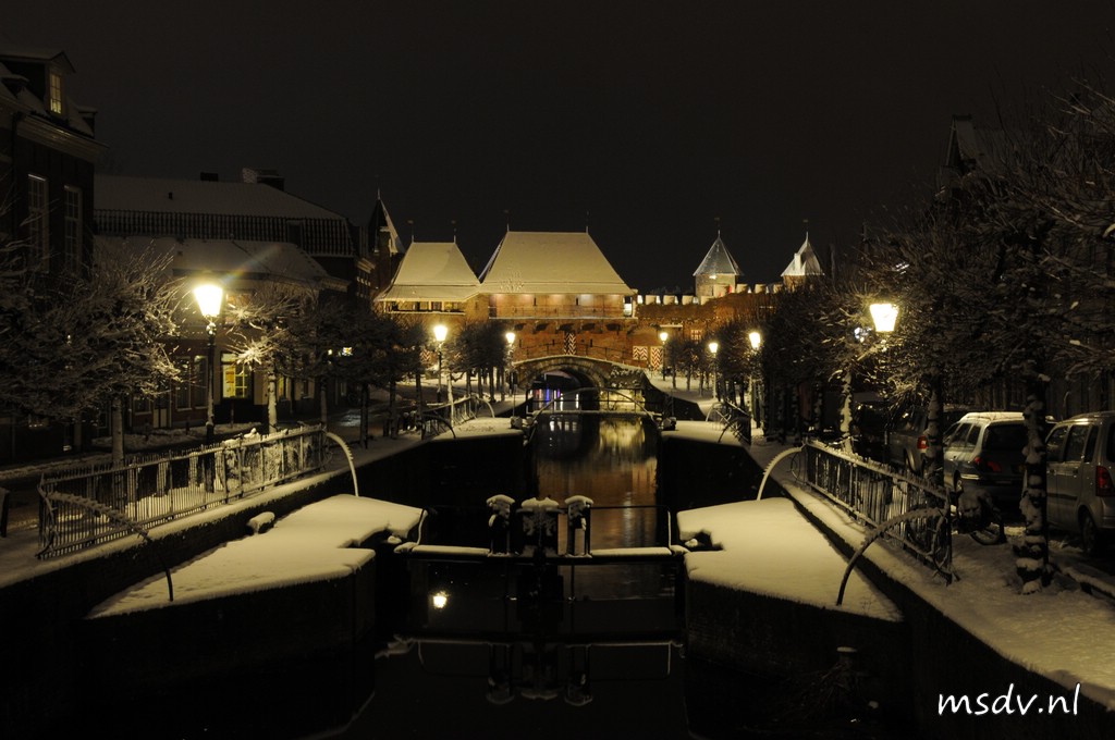 copyright msdv.nl