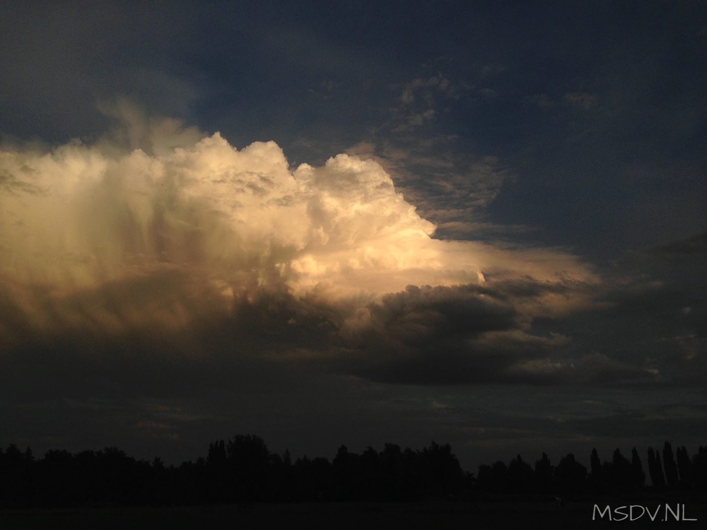 copyright msdv.nl