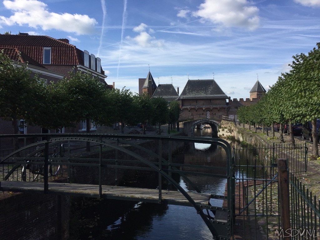 copyright msdv.nl