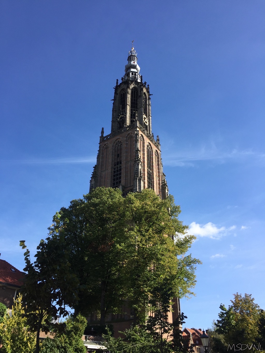 copyright msdv.nl