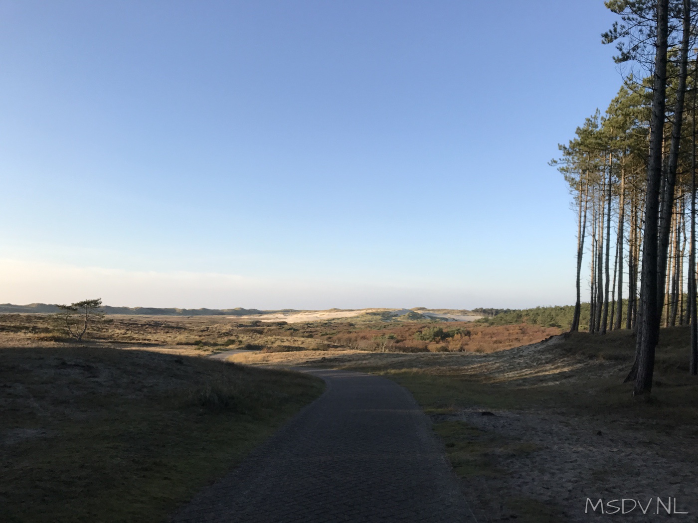 copyright msdv.nl
