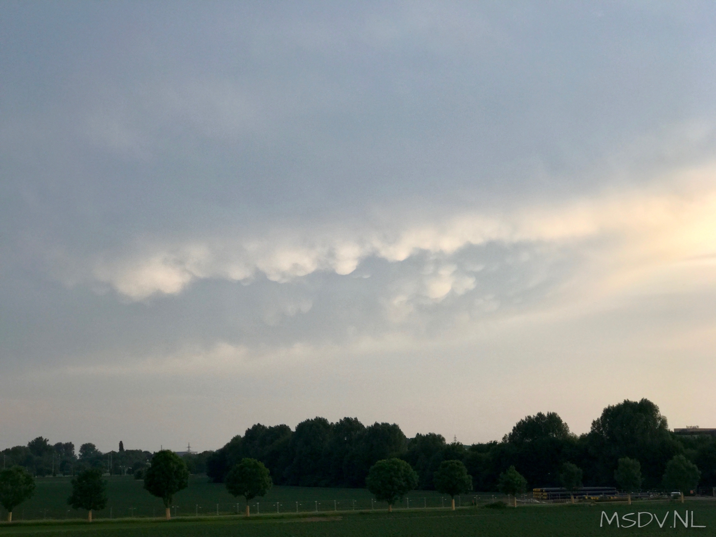 copyright msdv.nl