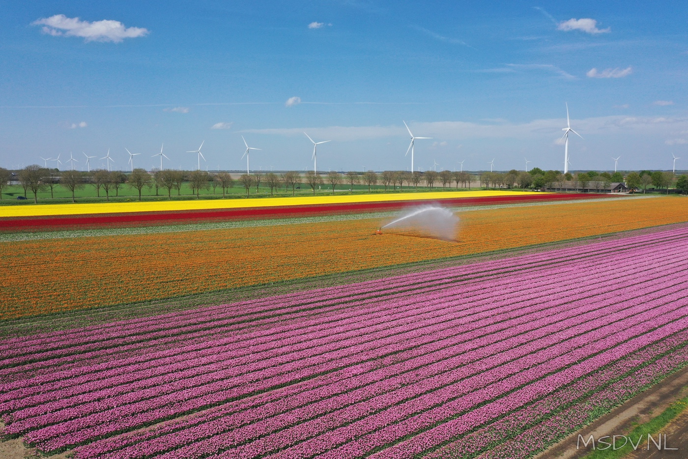 copyright msdv.nl
