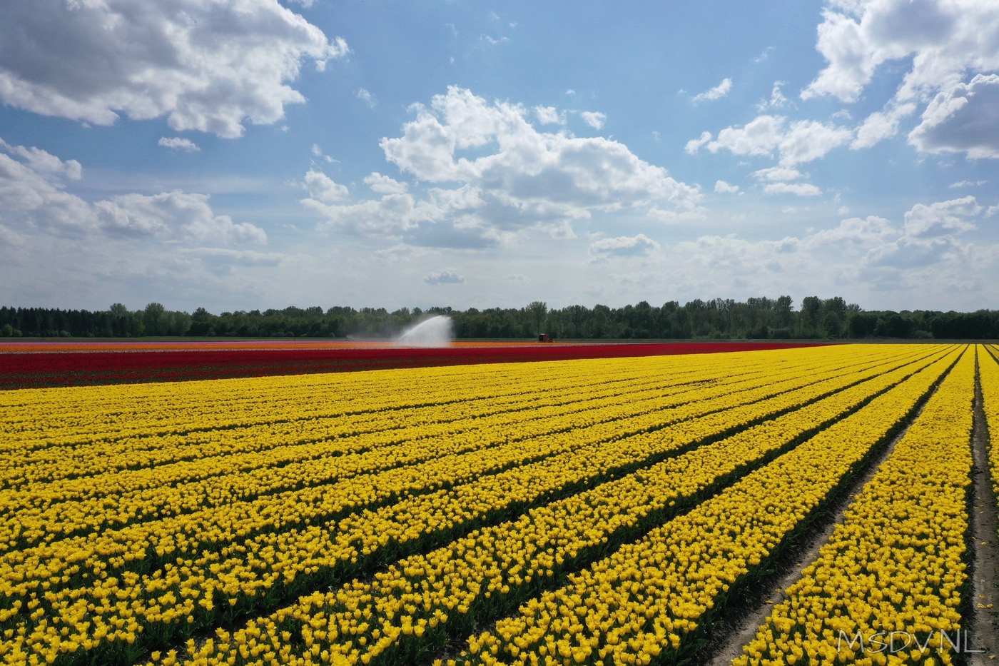 copyright msdv.nl