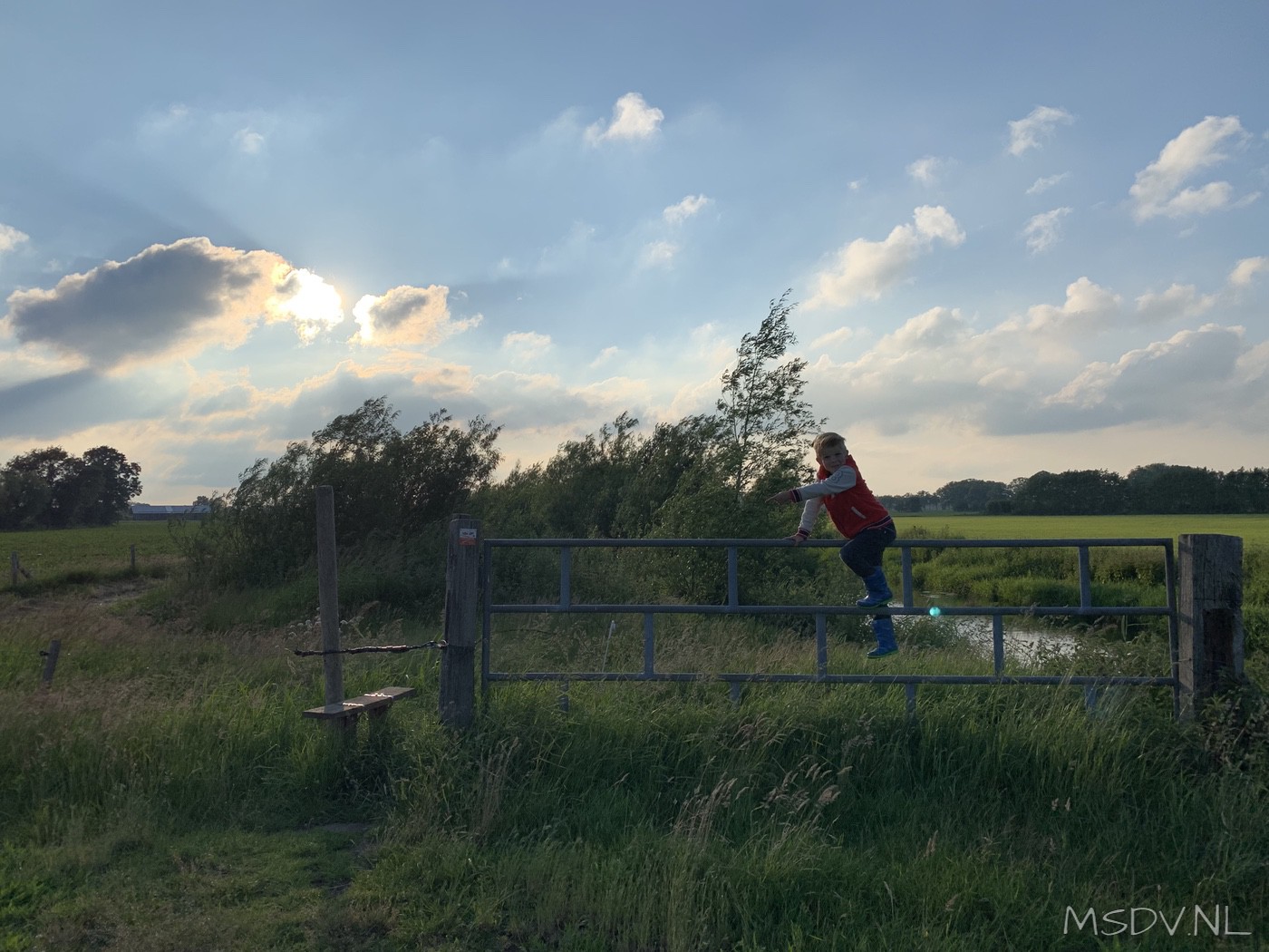 copyright msdv.nl
