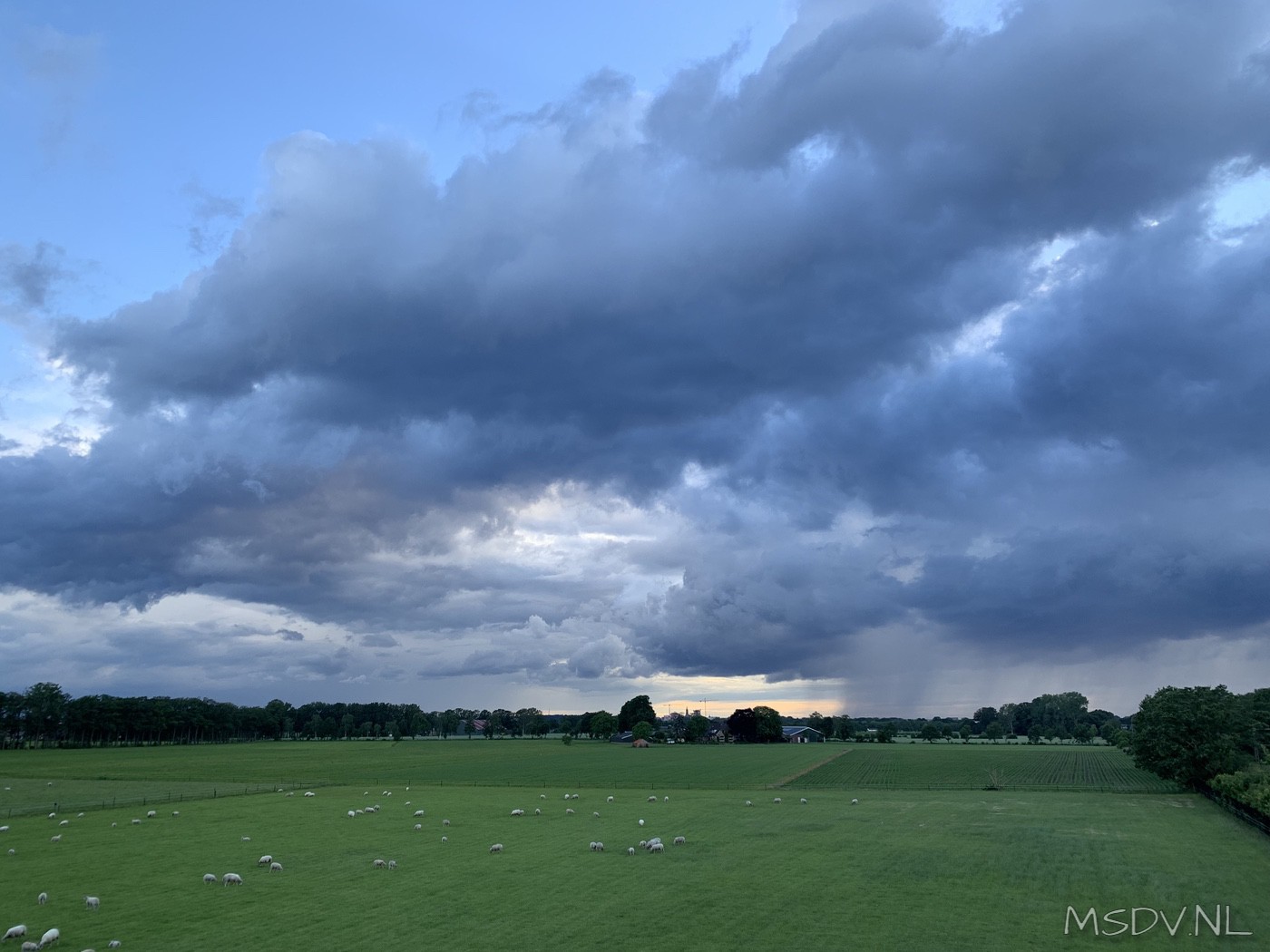 copyright msdv.nl