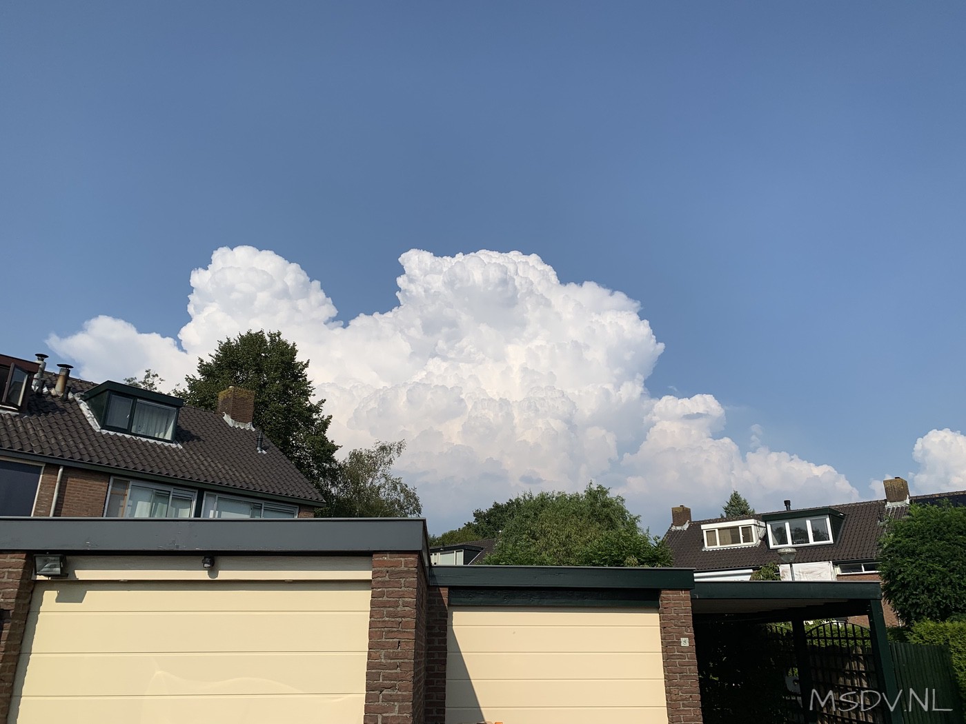 copyright msdv.nl