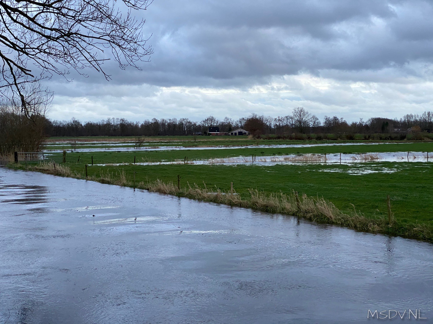copyright msdv.nl
