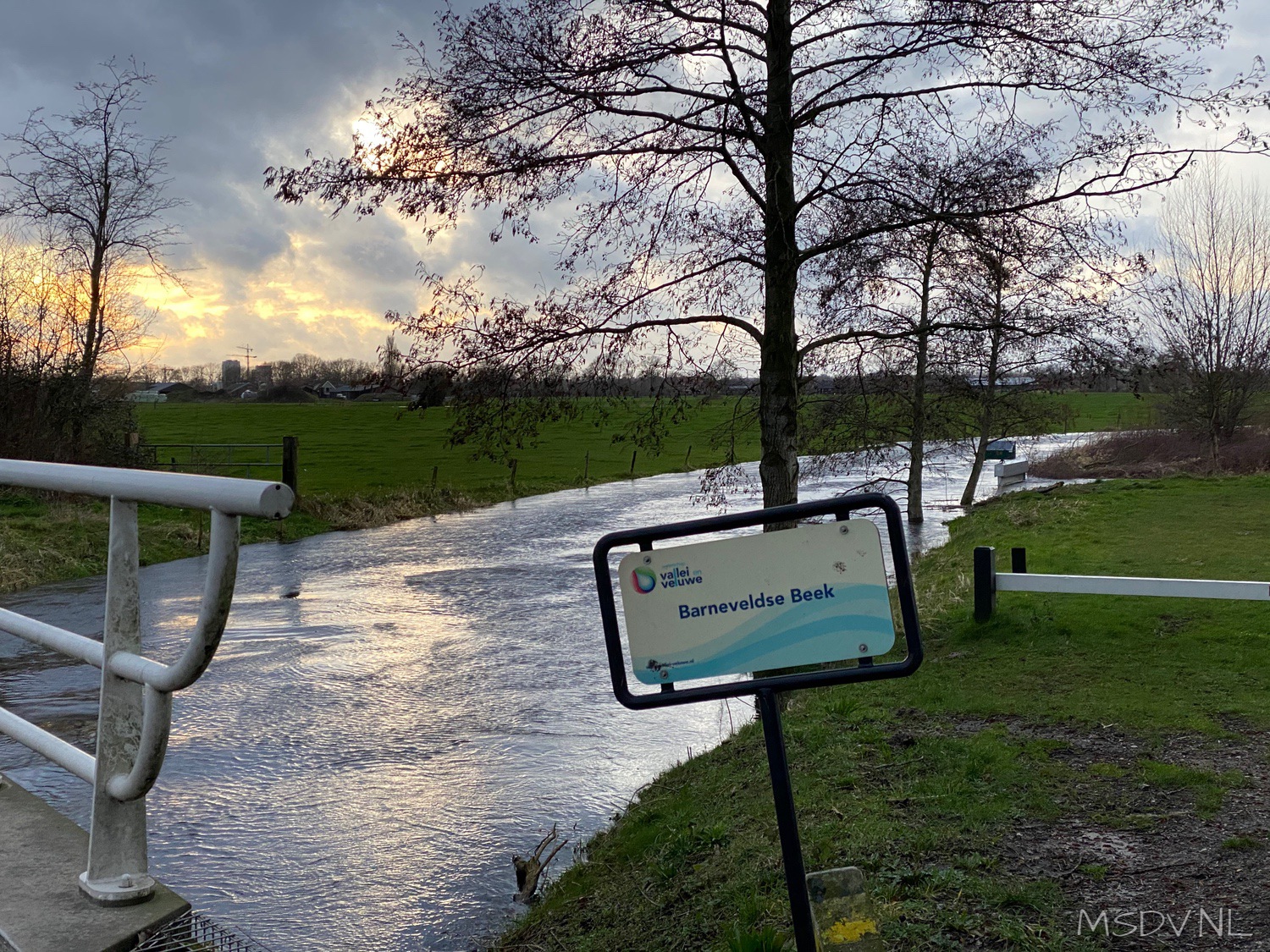 copyright msdv.nl