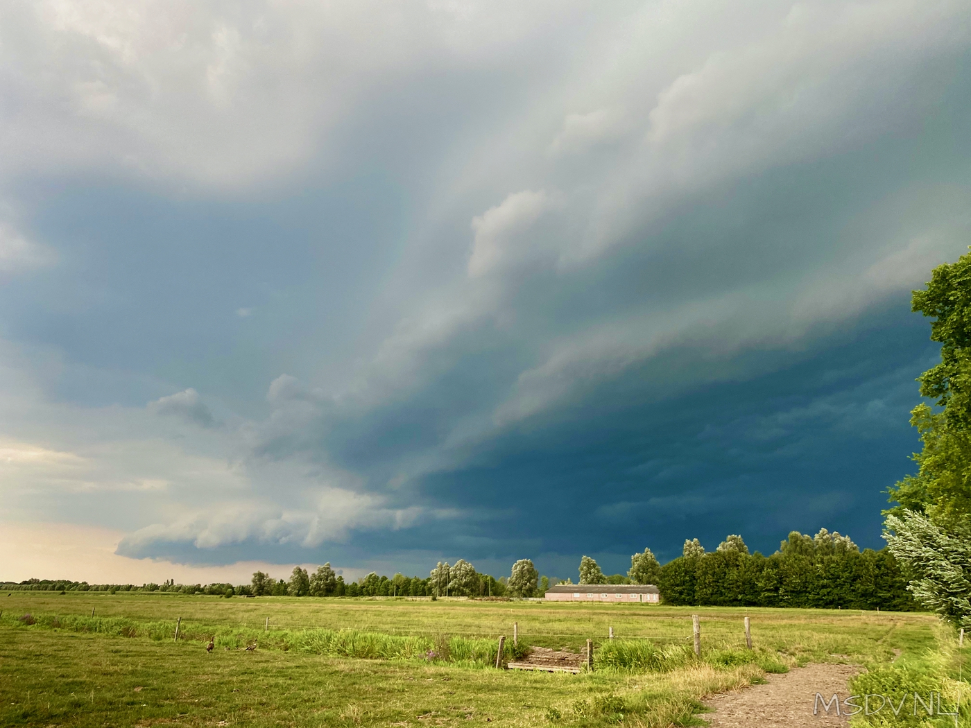 copyright msdv.nl