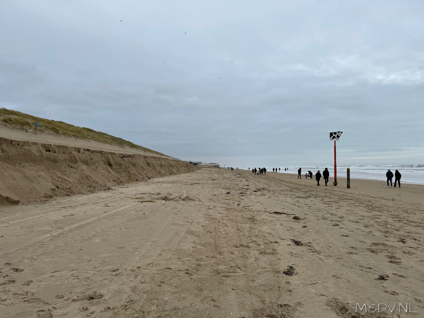 copyright msdv.nl