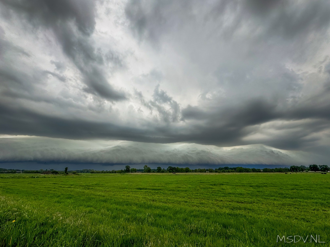 copyright msdv.nl
